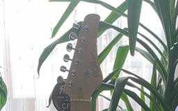 Gitara Telecaster FGN