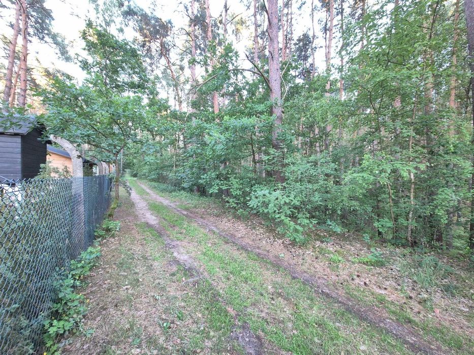 Domek nad jeziorem do wynajęcia okolice Sławy