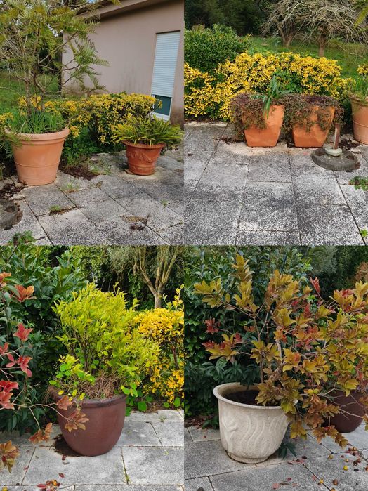 Vasos diversos cerâmica e compósito