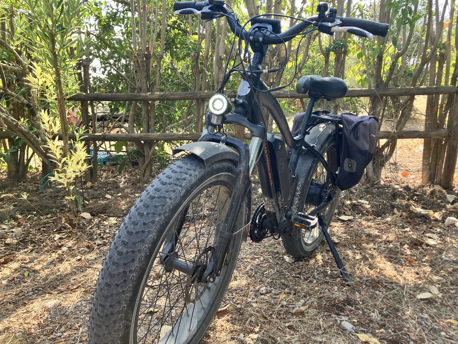 Bicicleta Elétrica  - Fat bike - RadRhino — Rad Power Bikes