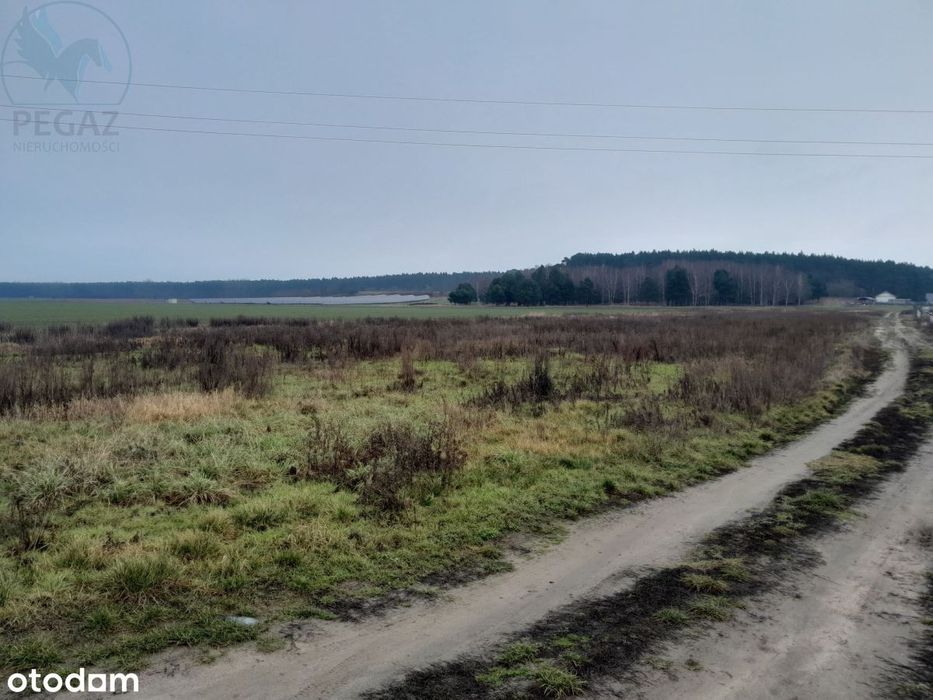 Działka budowlana Kuźnik Ostatnia