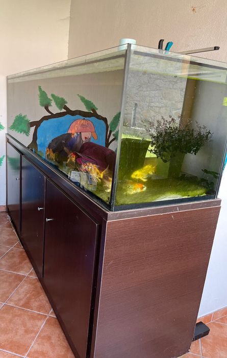 Aquário gigante