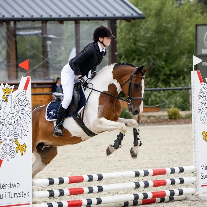 Sprzedam klacz sport/rekreacja/Hipoterapia