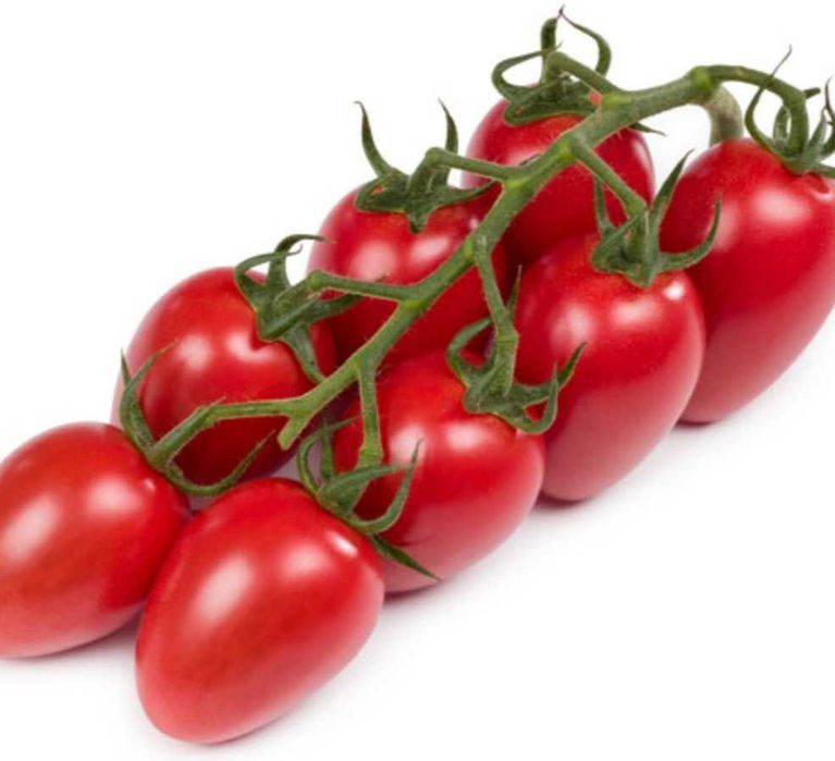 Nasiona pomidorów Holenderskich