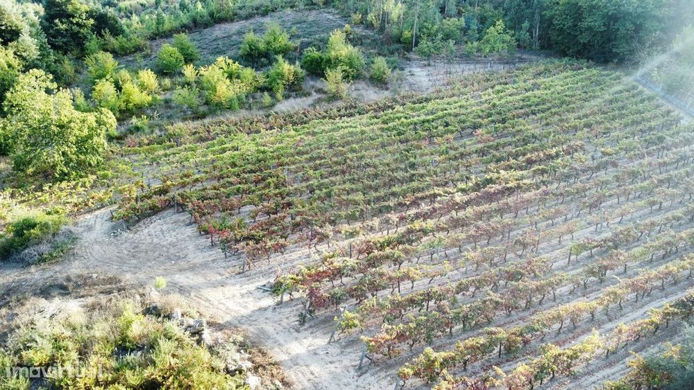 Terreno  para venda