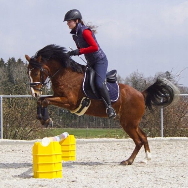 Krzyżak do cavaletti plastikowy - 2 szt - niebieski i żółty