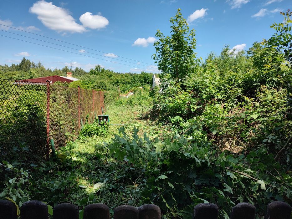Działka rod jelonek - Widok 3