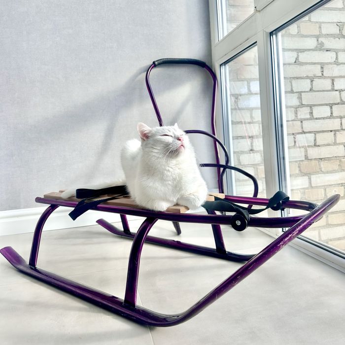 Дитячі санки Tako з ручкою, металеві, фіолетові, гарний стан