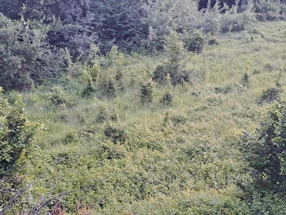 Земельна ділянка у місті Перечин