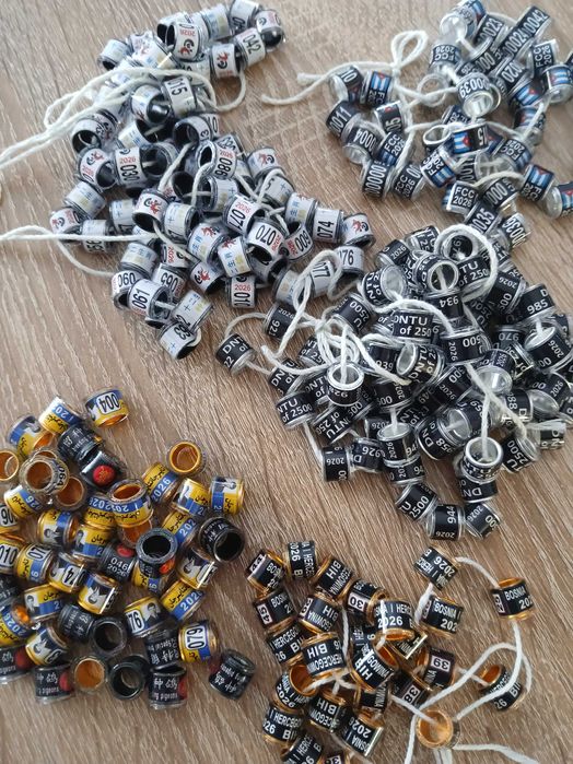 Obrączki dla gołębi 2026