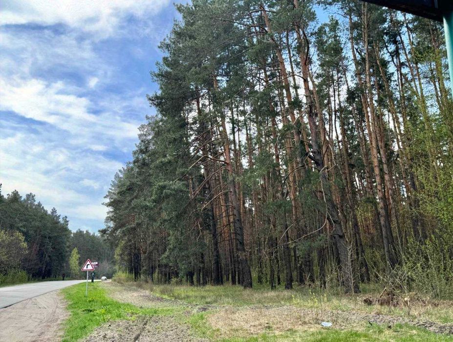 Великий масив землі під Забудову біля Житомирської траси