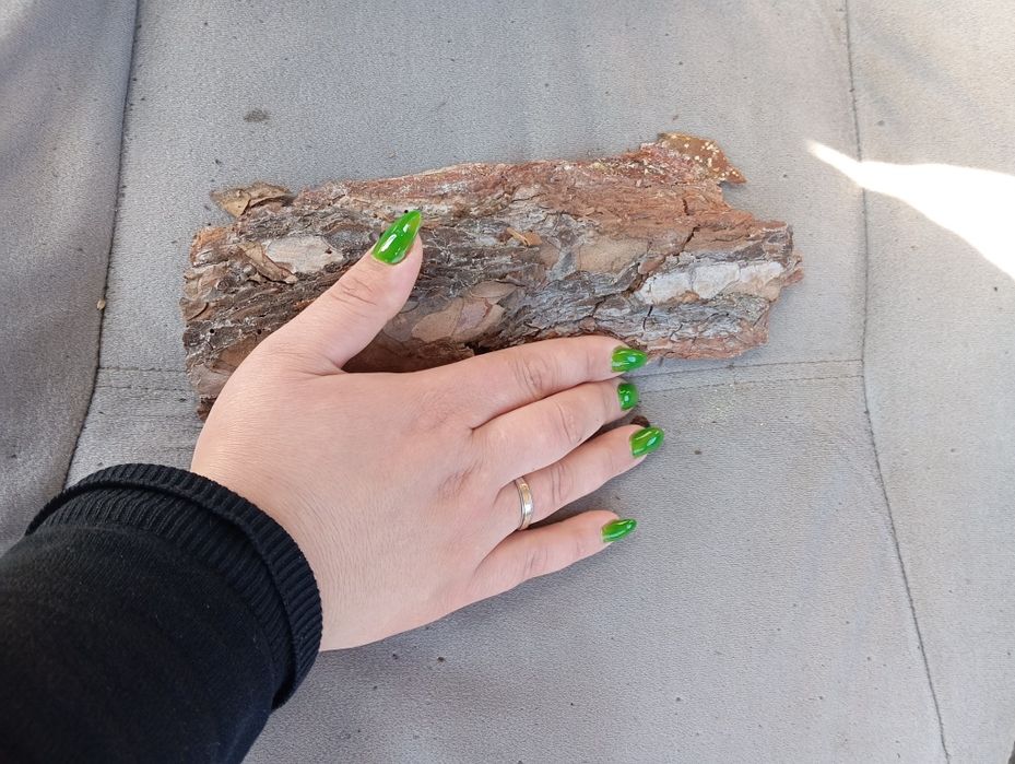 Продам сосновую кору, Мерефа