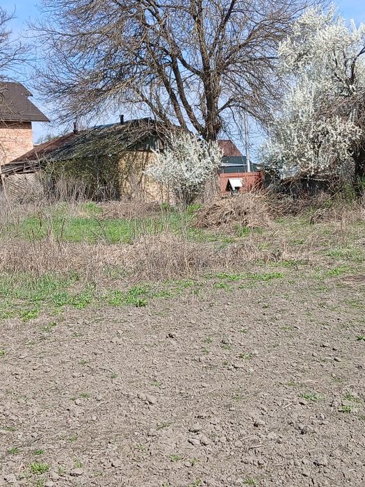 42 сотки в с. Забір'я з будинком під ремонт