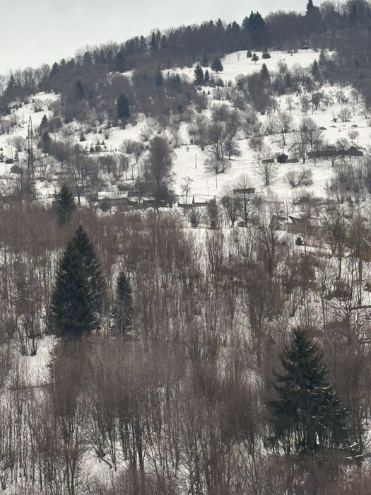 Продаж земельної ділянки с. Кваси Закарпатська обл