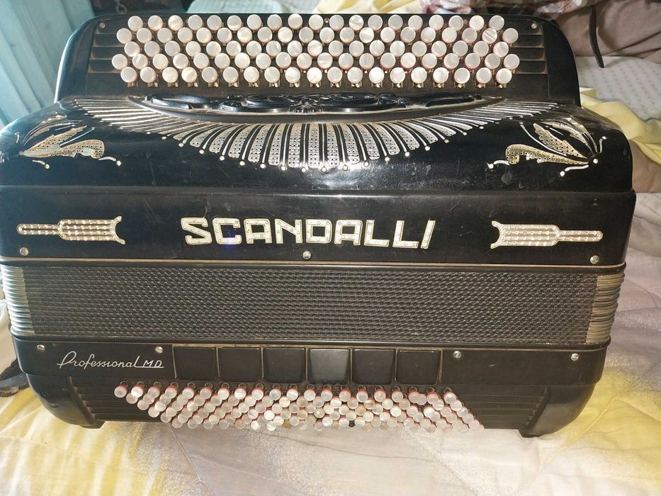 Scandalli profissional