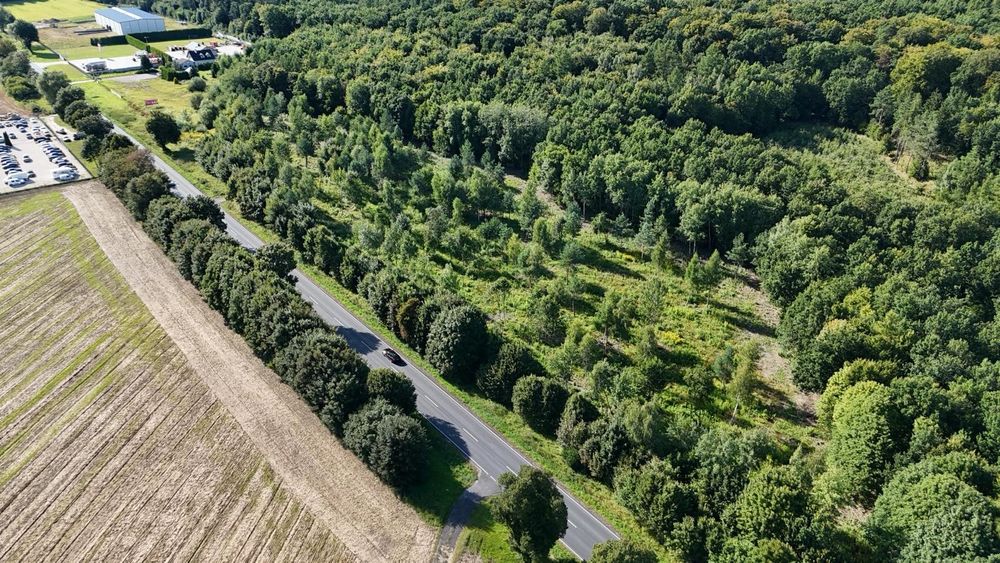 Działka inwestycyjna z MPZP przy DK15 – Szabda, gmina Brodnica - Widok 2