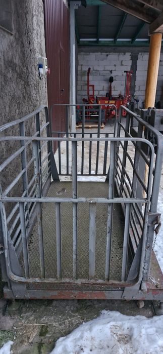 Waga inwentarska do bydła, świń itd