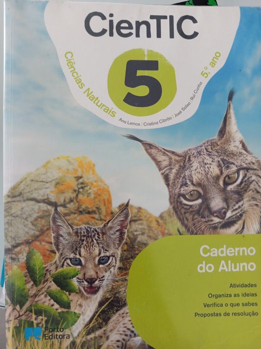 Livro Exercícios 5 Ano