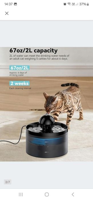 Poidełko dla kota fontanna