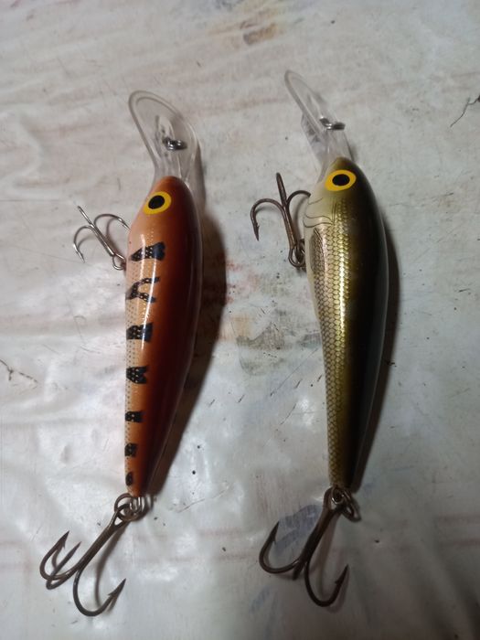 Amostras de pesca ao achiga