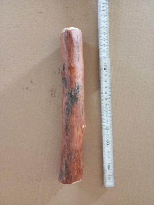 Patyk z Drzewa Oliwnego Rozmiar M