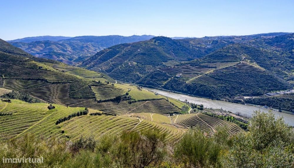 Quinta vínicola à venda no Peso da Régua no Douro Valley