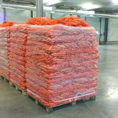 Siatka 3500 Xtra L(rozciągliwość 130-150%) 3,2g