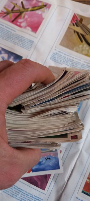 Cromos 1981,antiquities, velharias,colectibles