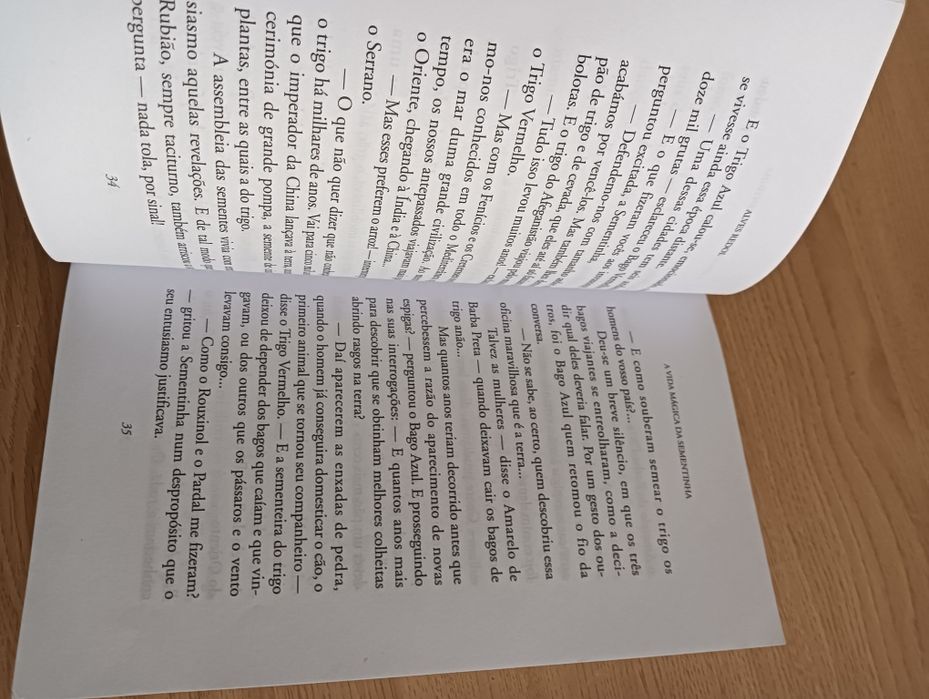 A vida mágica da sementinha Alves Redol