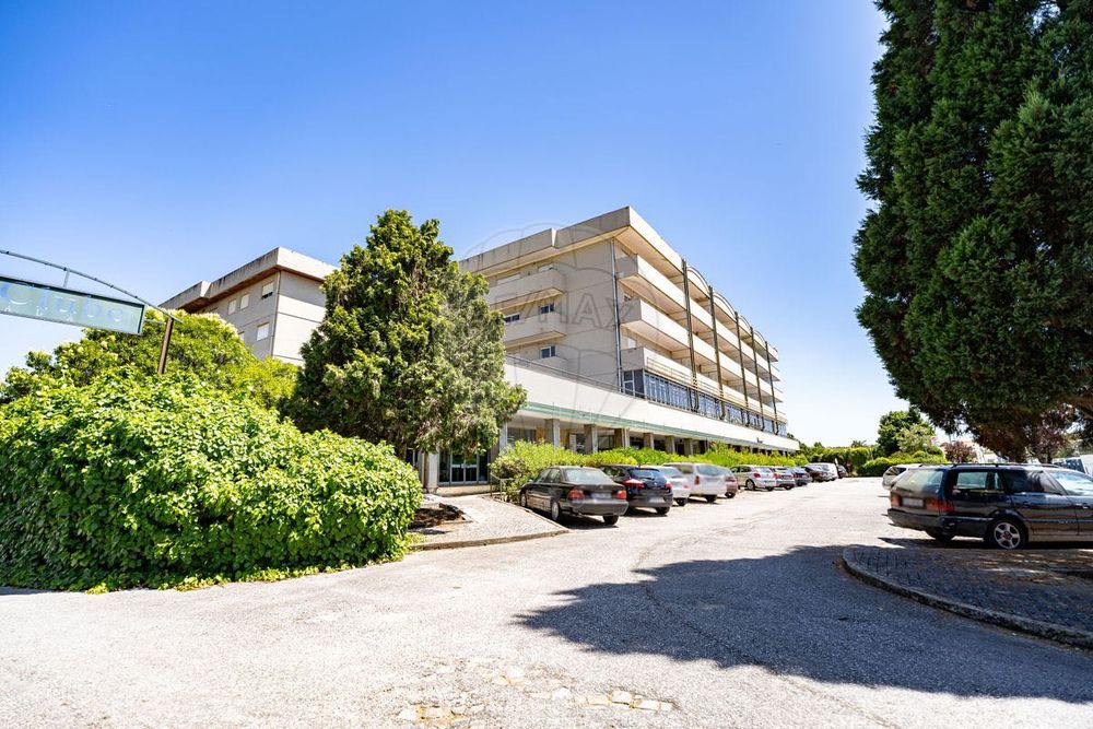Apartamento T1 Curia - Anadia Para Arrendamento Mobilado