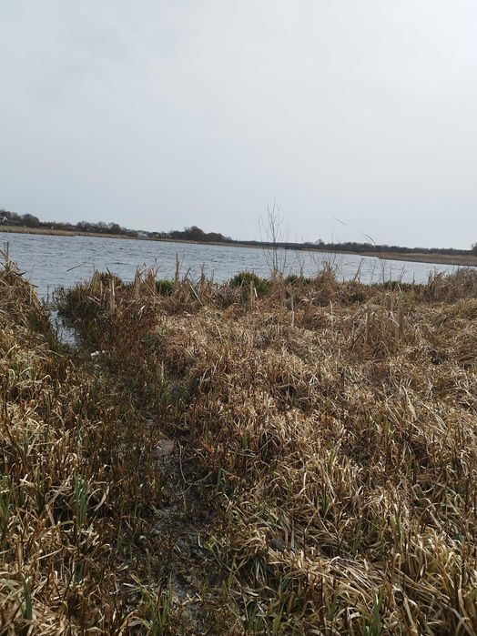 Продаж ділянки в Ворошилівці вихід до Бугу.