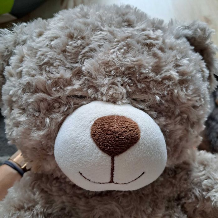 Interaktywny miś projektor sowa