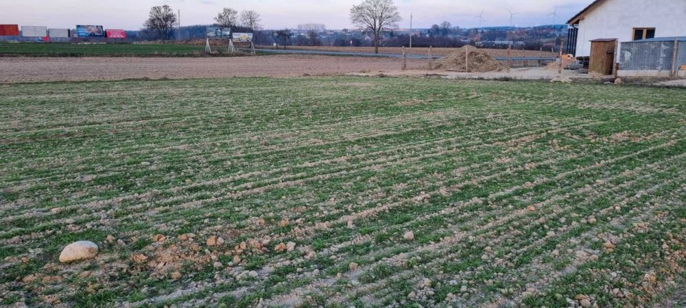 Sprzedam działki- Włoszakowice