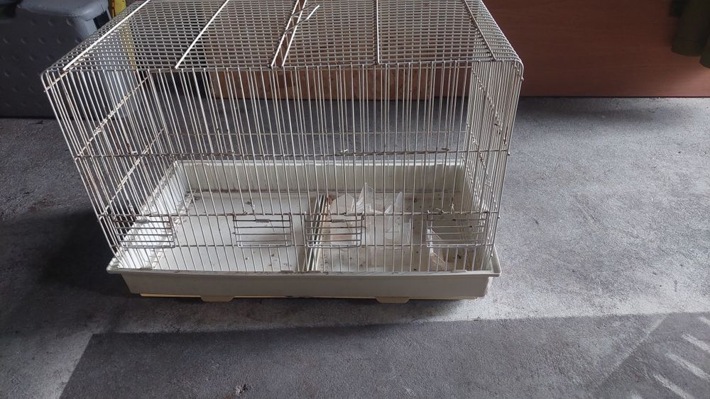 Vendo gaiolas usadas e viveiro