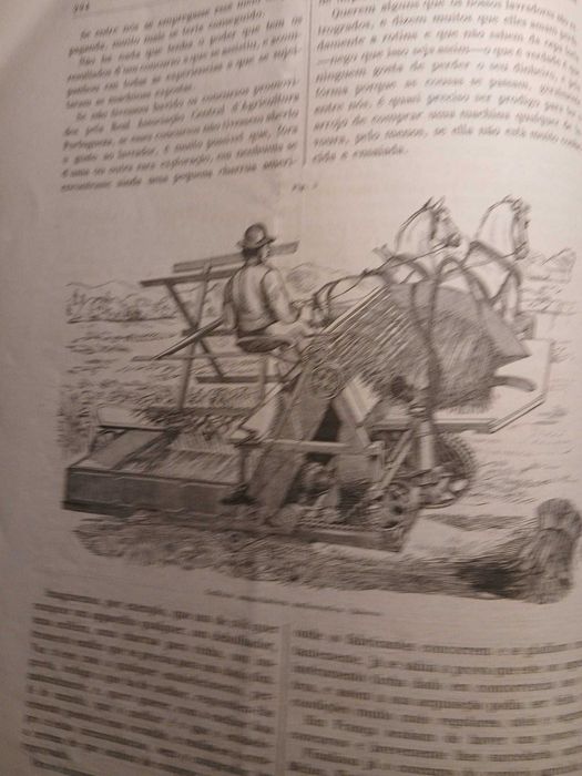 Gazeta dos Lavradores, Julho de 1881