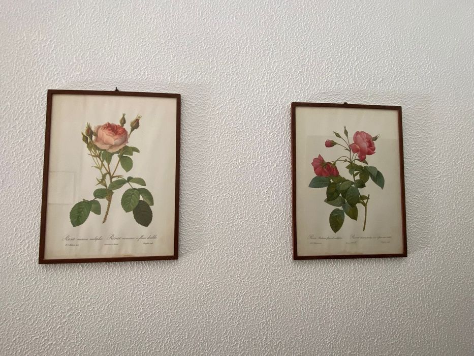 2 quadros com flores