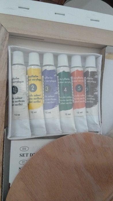 Conjunto de Tela e Tintas Acrílicas