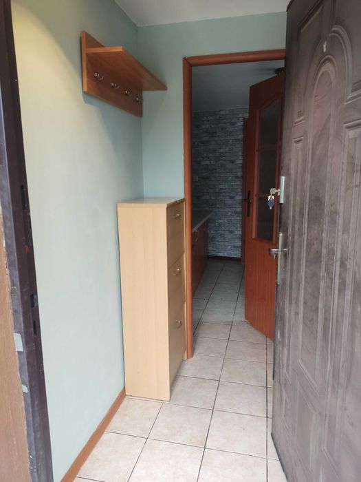 domek do wynajęcia