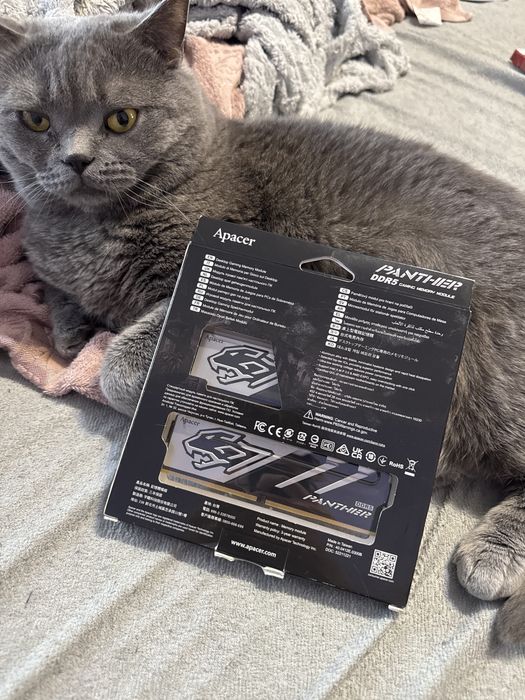 Нова Apacer Panther DDR5 6000