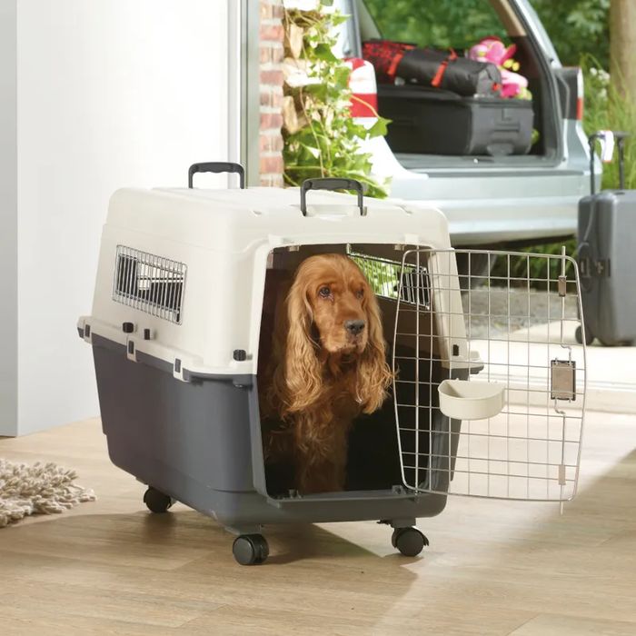 Savic Transporter dla Psa z Kółkami Feria Andes 4 51x67x44cm do 20kg N