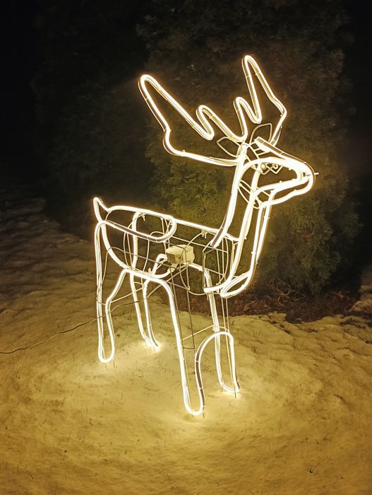 Renifer na Neonie cob Piękny stałe ciągle światło LED świateczny XXL