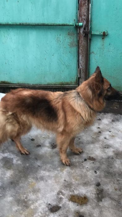 Акція - розпродаж!