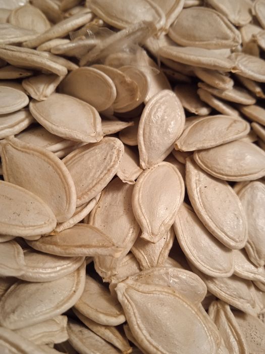 Тыквенные семечки