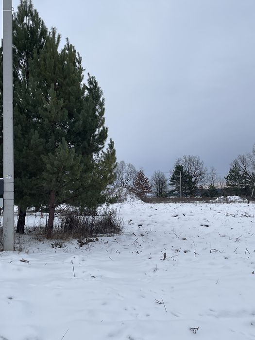 Продам 10 соток під лісом. Забудова. Проців. Бориспіль.