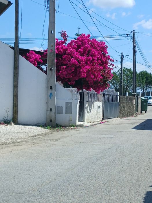 Tomo conta de idosos ou crianças