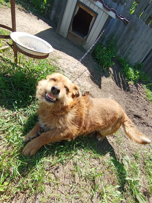 Маленький звоночек во двор!