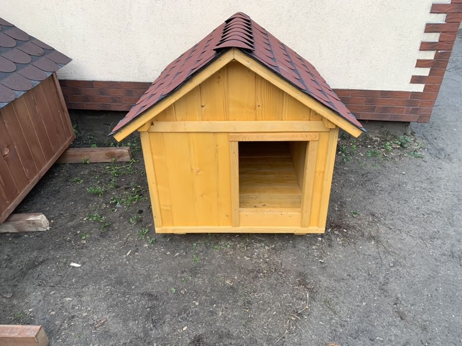 Średnia buda dla psa