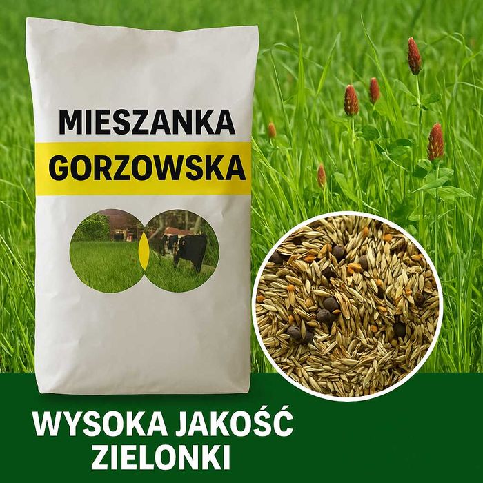 Mieszanka gorzowska, koniczyna, życica, wyka, trawa poplonowa dla krów