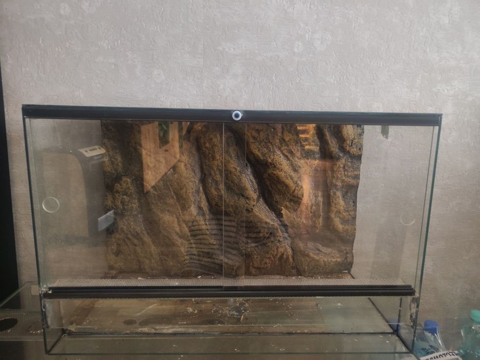 Terrarium 60*30*40