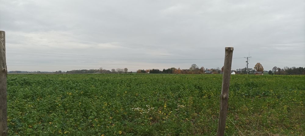 Działka koło Pobiedzisk - tanio, świetna lokalizacja. - Widok 4